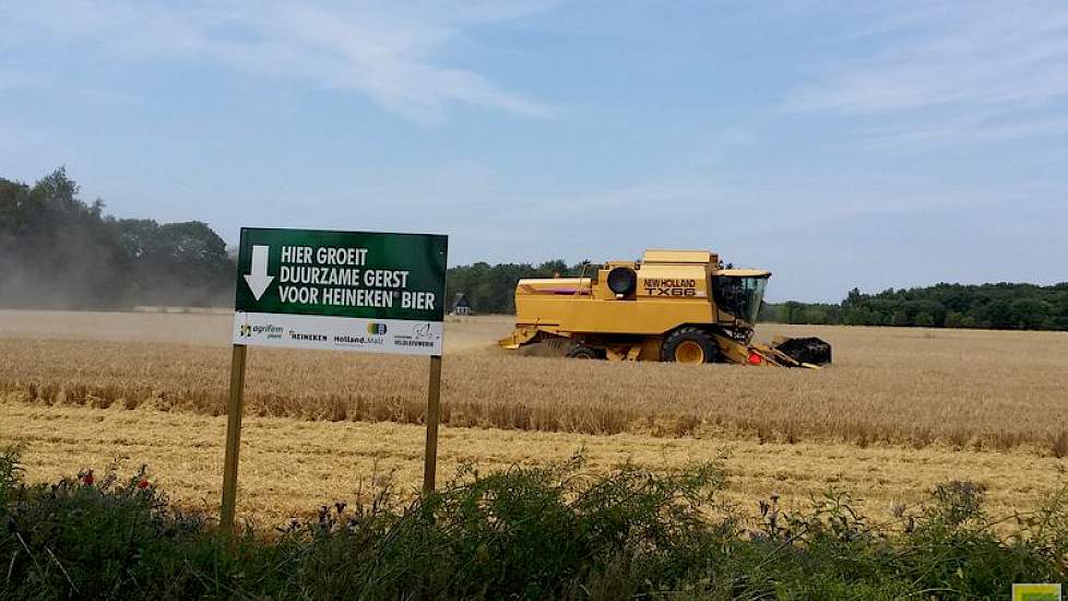 Het Heineken bord staat in een bloemrijke akkerrand voor Veldleeuwerik.