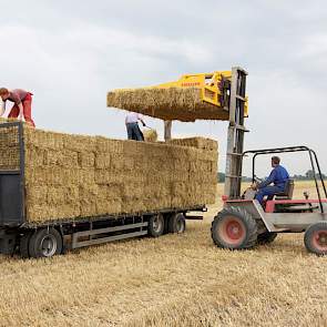 Zoon Jos (rode overall) en broer Wim (witte pet) helpen bij het laden.