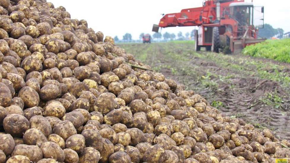 ‘De aardappels hadden nog even kunnen staan’, zegt Dekker in Vriezenveen (O), ‘maar de veehouder wil nog graag gras inzaaien op het land’.