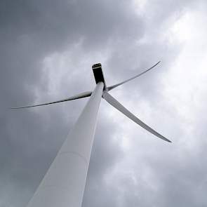 Het huidige buiige weer doet de droogte van het voorjaar bijna vergeten. Toch was dat droge begin van het seizoen een belangrijke rem op de groei van de uien.