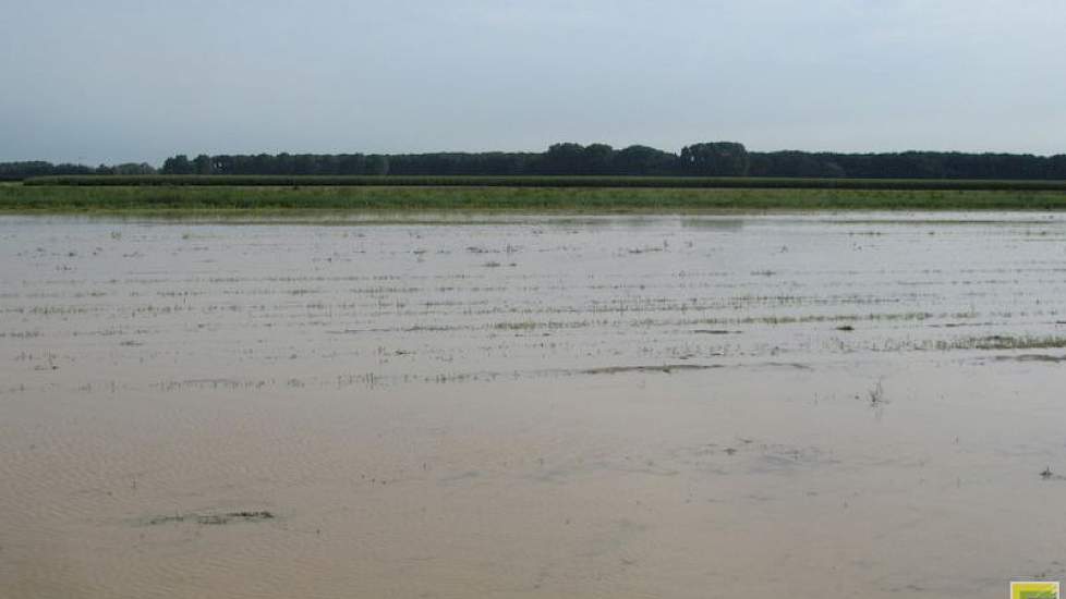 De sloten stonden vorige week vol na bijna 140 mm neerslag, en het water stond op het land.