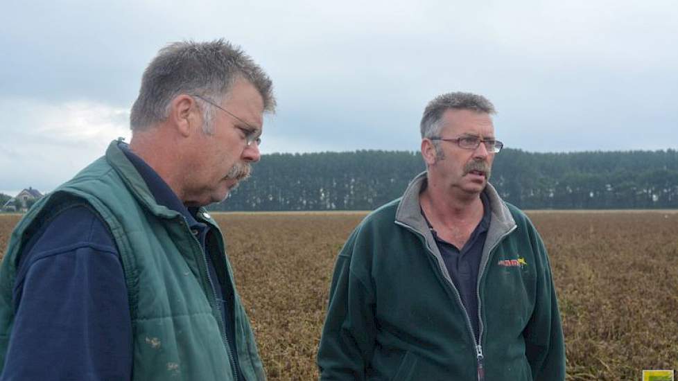 Het is het tweede jaar op rij dat de gebroeders Van Gammeren zijn getroffen door extreme regenval en misoogsten als gevolg daarvan. Vorig jaar waren ze de helft kwijt. ‘Ik kan er slecht tegen’, zegt David (links). ‘Ik kan er nu ook niet te veel op zeggen,