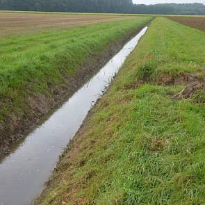 Het waterpeil in de sloot is inmiddels sterk gezakt. Drie weken geleden stond het water hoger dan de slootkanten en stond alles blank.