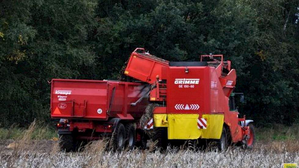 Het rooien gaat voorspoedig, zegt Meeuwissen. De nachtvorst die voor volgende week wordt voorspeld, levert geen problemen op, verwacht hij. Hooguit later op de dag beginnen met rooien.