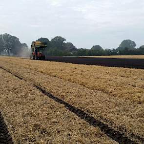 ‘Dit doen we onder meer om verslemping van de grond te voorkomen’, zegt Trip. Ook probeert hij met het strodek de temperatuur in de grond zo egaal mogelijk te houden. Het dek helpt tevens het verstuiven van de grond te voorkomen.