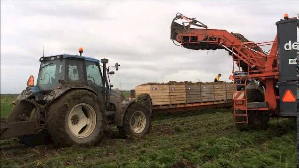 Wortelsrooien 2015 Heyboer BV