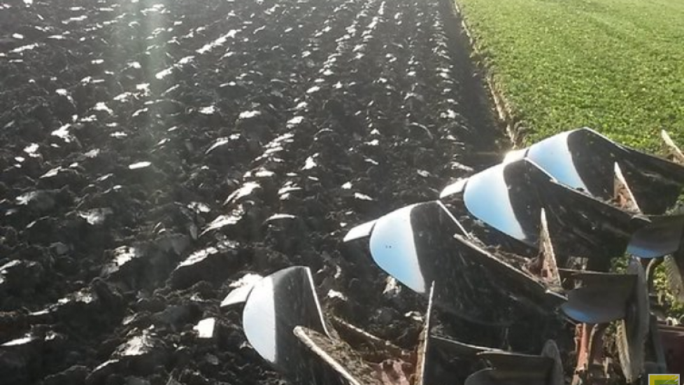 Tonis Boot ploegt de geklepelde bladrammenas onder. ‘Het gaat prachtig’, laat hij weten.