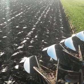 Tonis Boot ploegt de geklepelde bladrammenas onder. ‘Het gaat prachtig’, laat hij weten.