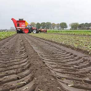 Moonen boert op zandgrond Ondanks de regen van gisteren geen bodemschade van de rooier op rupsen.