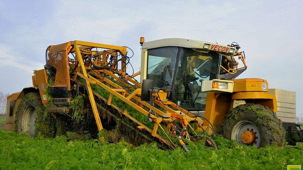 DH-Agro is gespecialiseerd in de gehele teelt van aardappelen, uien en wortelen. Naast contractteelt en loonwerk bij derden telen de ondernemers zelf een deel van hun areaal vrij. Deze peen is eigen teelt. Het ploegen, ruggen trekken en zaaien gebeurt in