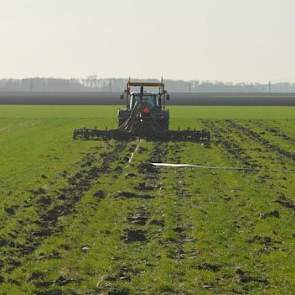 De mest wordt met een sleepslangculter uitgereden, waarmee de mest direct in de grond wordt gewerkt.