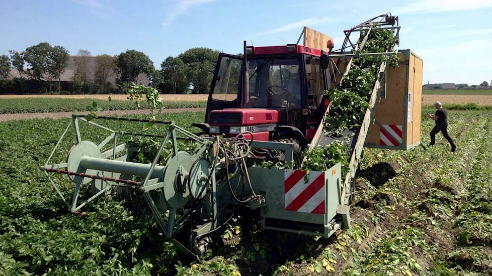 Loofknipper beperkt Erwinia - www.akkerwijzer.nl