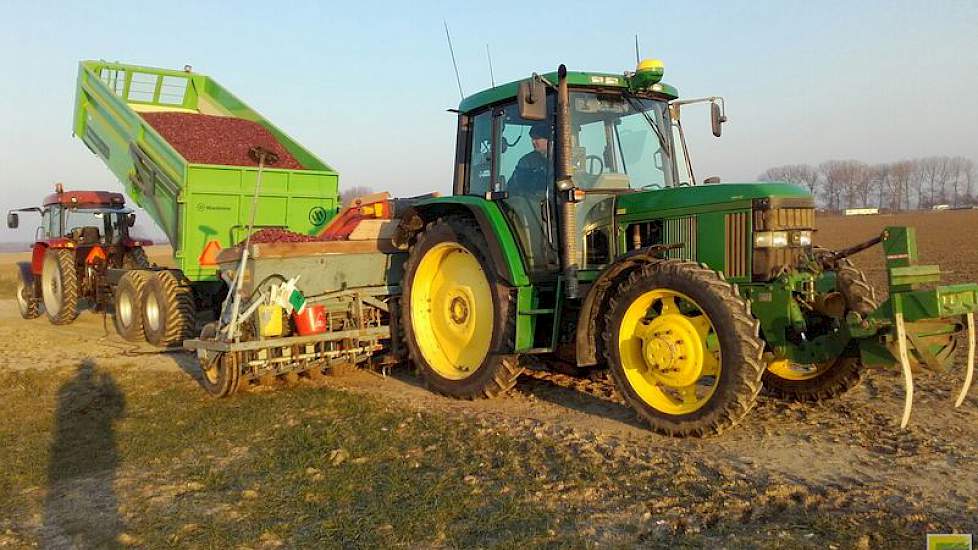 Loonbedrijf Boonman plantte ruim 4 hectare plantuien van het ras Red Ray. Als voorvrucht had akkerbouwer Harm van Hoeve tarwe. Het perceel is nu acht jaar niet geploegd. ‘De structuur is heel mooi’, aldus de teler.