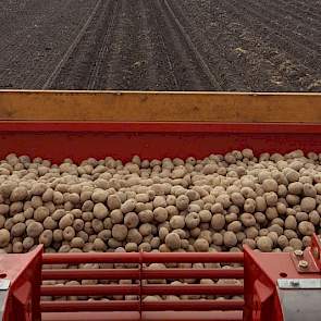 Als het maandag droog is, gaat Hoiting verder met het poten van aardappelen voor Avebe. De bieten zijn 22 maart gezaaid en ook het graan zit al in de grond.