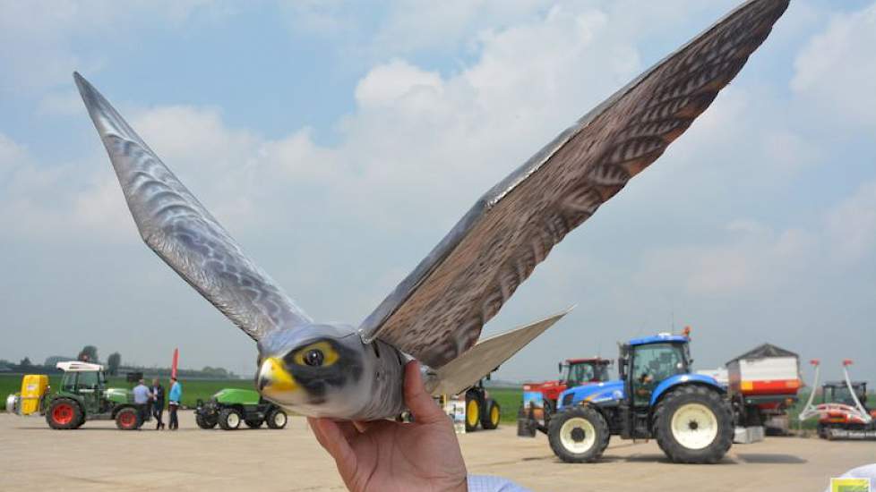 Clear Flight Solutions presenteert in Westmaas twee drones die tegenovergestelde doelen hebben. De ene, in de vorm van een slechtvalk, is bedoeld om vogels weg te jagen uit een bepaald gebied. De drone ziet er uit als een valk en vliegt als een valk. Zo k