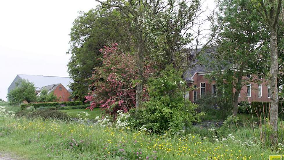 De schuur staat achter de oude boerderij.