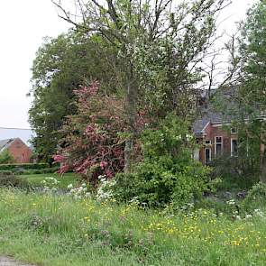 De schuur staat achter de oude boerderij.