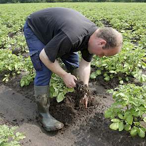 Zijn collega Rob Meeuwissen heeft ook problemen door de wateroverlast.