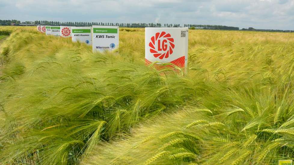 In de rondgang graan lagen rassendemo’s van onder meer wintergerst en wintertarwe. Er was aandacht voor groeiregulatie en er werd een uitgebreide bemestingsproef toegelicht.