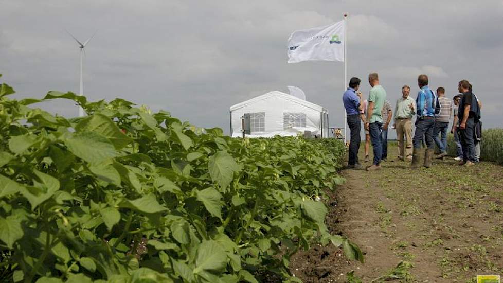 Voor de pootgoedtelers zou het goed zijn als behalve Nederland en Duitsland ook de andere Europese landen biologisch uitgangsmateriaal in de biologische consumptieteelt zouden verplichten, zegt Richard Mooijweer van Agrico. „We kunnen aan voldoende telers