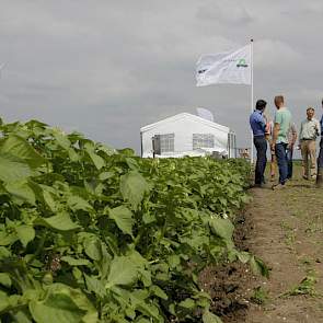 Voor de pootgoedtelers zou het goed zijn als behalve Nederland en Duitsland ook de andere Europese landen biologisch uitgangsmateriaal in de biologische consumptieteelt zouden verplichten, zegt Richard Mooijweer van Agrico. „We kunnen aan voldoende telers