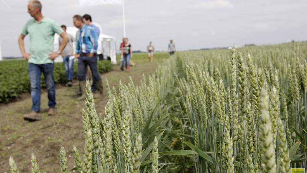 De biologische markt groeit sneller dan de teelt.