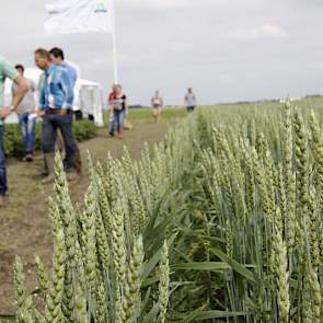 De biologische markt groeit sneller dan de teelt.