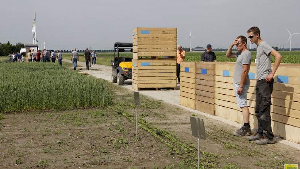 Groenbemesters met klaverachtigen zijn een belangrijke stikstofbron in de bioteelt.