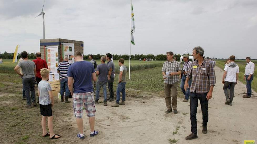 Bij de zomertarwe zoekt de sector geschikte rassen voor biologische teelt met goede bakeigenschappen.