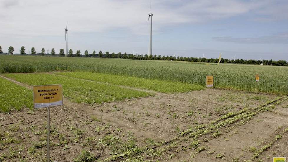 Groenbemesters en gewaskeuze in de rotatie waren onderwerpen op de Biovelddag.