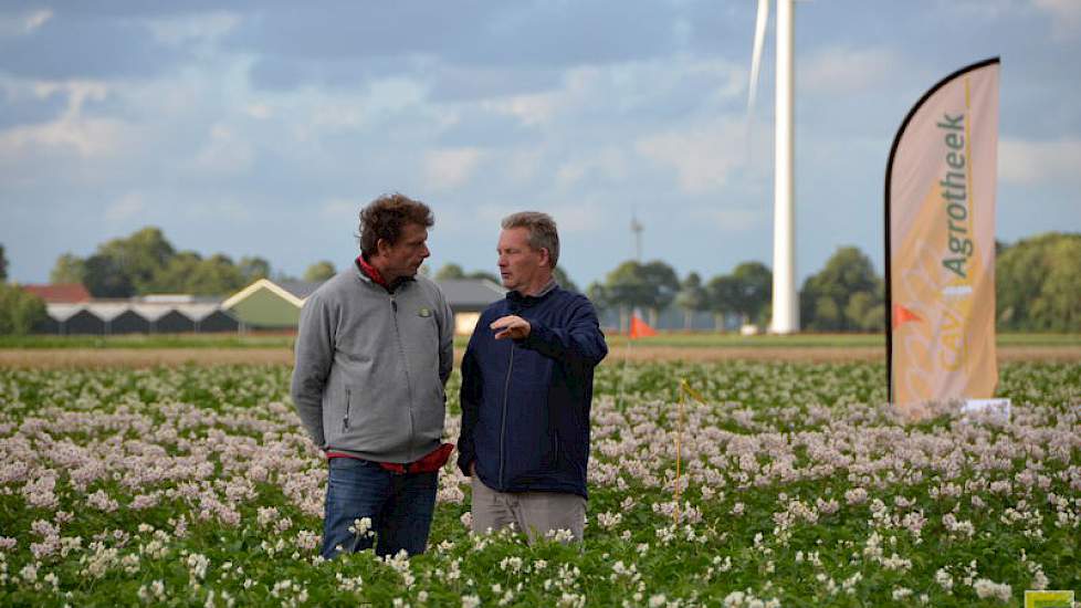 Foto: Proeftuin Zwaagdijk