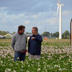 Foto: Proeftuin Zwaagdijk