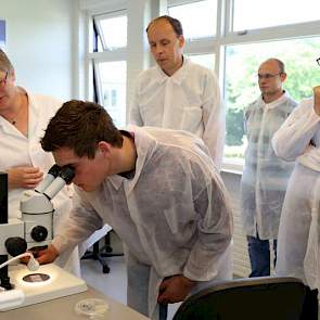 TopBodem-deelnemer Gijs Krol bekijkt de aaltjes door de microscoop.