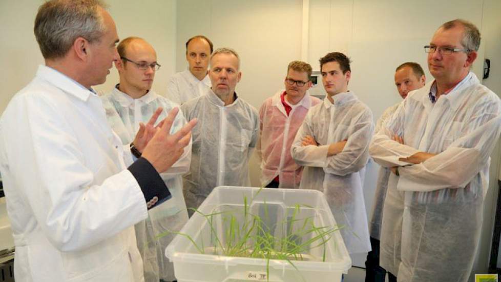 Bert-Jan van Dinter liet de TopBodem-excursie ook zien hoe de rassen eerst in vitro getest worden op aaltjesresistentie.