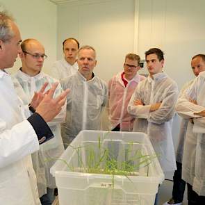 Bert-Jan van Dinter liet de TopBodem-excursie ook zien hoe de rassen eerst in vitro getest worden op aaltjesresistentie.