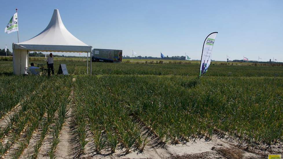 De mensen van CZAV gaven uitleg over vroegwerkende fosfaat in de uien en toedienen van andere voedingselementen aan de uien. Volgens Peter de Broekert van CZAV bewijst de vroegwerkende fosfaat in Quickstart zich in fijnzadige gewassen als ui. Ook gecoate