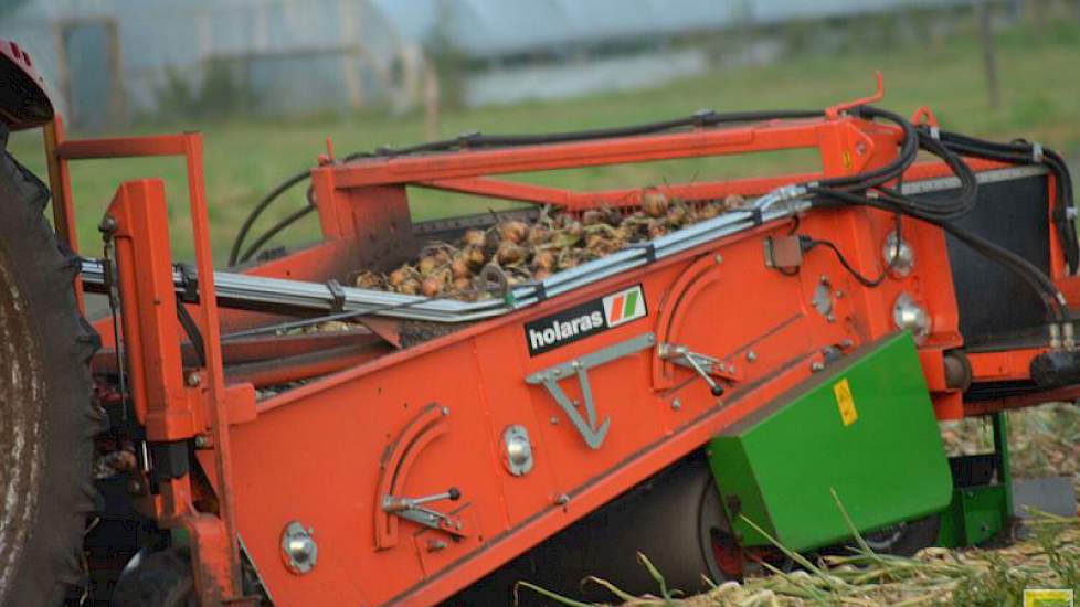 Loonbedrijf Haaijer rooit de uien met een Holaras uienrooier.