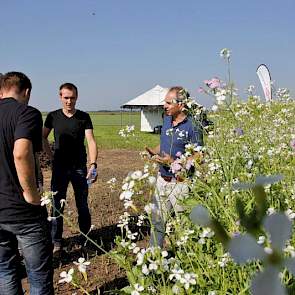 Mensen van Vandinter Semo gaven uitleg over bladrammenas en gele mosterd en andere keuzes in het pakket groenbemesters.