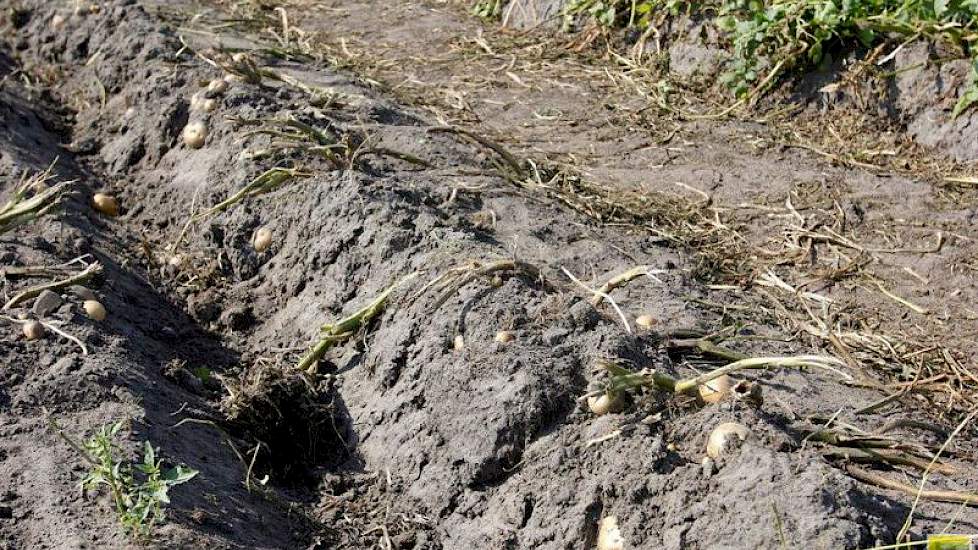 Loofvernietiging, welke doppen en hoeveel water werd besproken in Kloosterhaar.