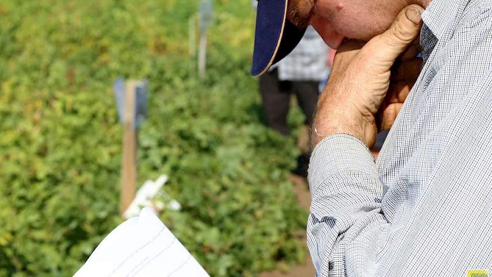 Avebe koos voor september bij deze demo, zodat boeren tijd hadden om te komen kijken.