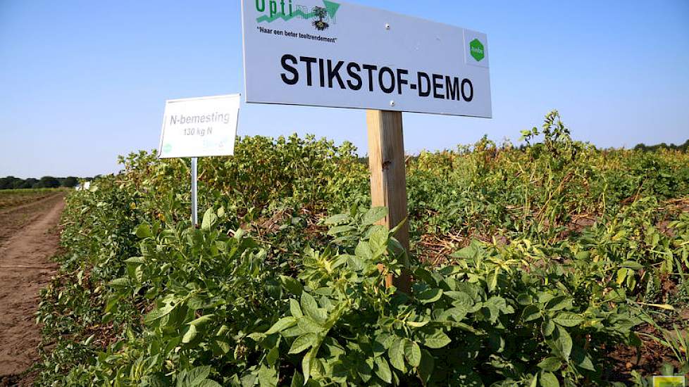 Bij stikstof gebruikten de onderzoekers de trappen 130, 180 en 230 kilo per hectare en de variant 130 in het voorjaar en een overbemesting van 50 kilo extra later in het groeiseizoen. Volgens Jans Klok kunnen veel rassen in het begin goed toe met 130 kilo