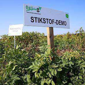 Bij stikstof gebruikten de onderzoekers de trappen 130, 180 en 230 kilo per hectare en de variant 130 in het voorjaar en een overbemesting van 50 kilo extra later in het groeiseizoen. Volgens Jans Klok kunnen veel rassen in het begin goed toe met 130 kilo