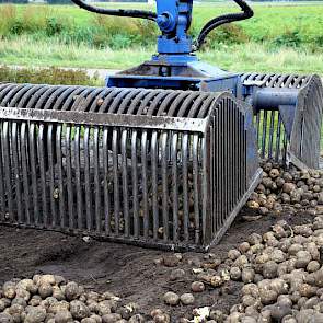 De fabriekers worden gelijk verwerkt. Weggemans heeft de precieze gegevens over opbrengst en onderwatergewicht nog niet. Hij verwacht dat het onderwatergewicht dit jaar bijzonder hoog is.