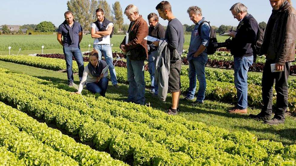 Een Franse Vitalis-medewerkster bespreekt de slarassen met haar landgenoten.