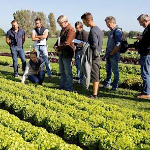 Een Franse Vitalis-medewerkster bespreekt de slarassen met haar landgenoten.