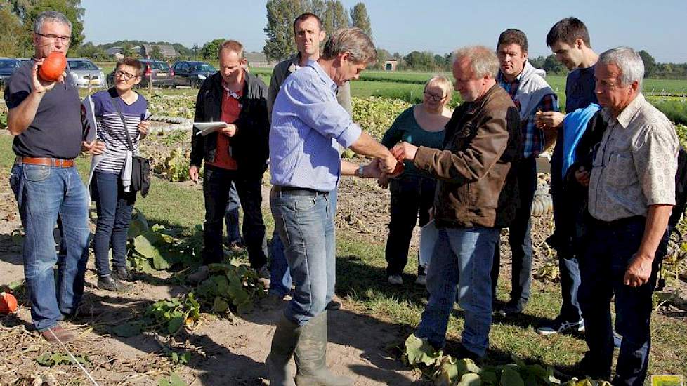 Tijdens de rondleiding liet Marcel van Diemen (blauw overhemd) een Franse groep telers de pompoenen proeven.