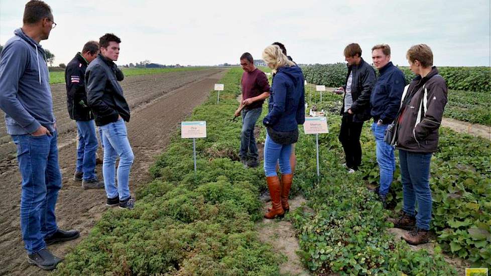 Proefveldmedewerker Adrie Albregtse (midden met rode trui en riek) gaf de bezoekers uitleg over de oca en mashua, twee knolgewassen die in Nederland nog vrij onbekend zijn.