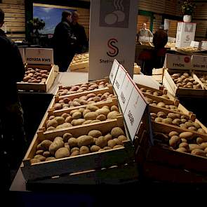 Bij de rassen van KWS en Stet zijn veel grote en grof groeiende bulkrassen, maar ook een serie verfijndere rassen voor de supermarkt.