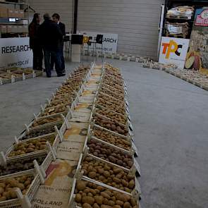 Bij The Potato Company (TPC) is ook een hoofdrol voor sterk resistente rassen. De rassen die resistenties tegen veel stammen van  Globodera rostochiensis en G. pallida (aardappelmoeheid) hebben zijn belangrijk voor TPC en haar klanten.