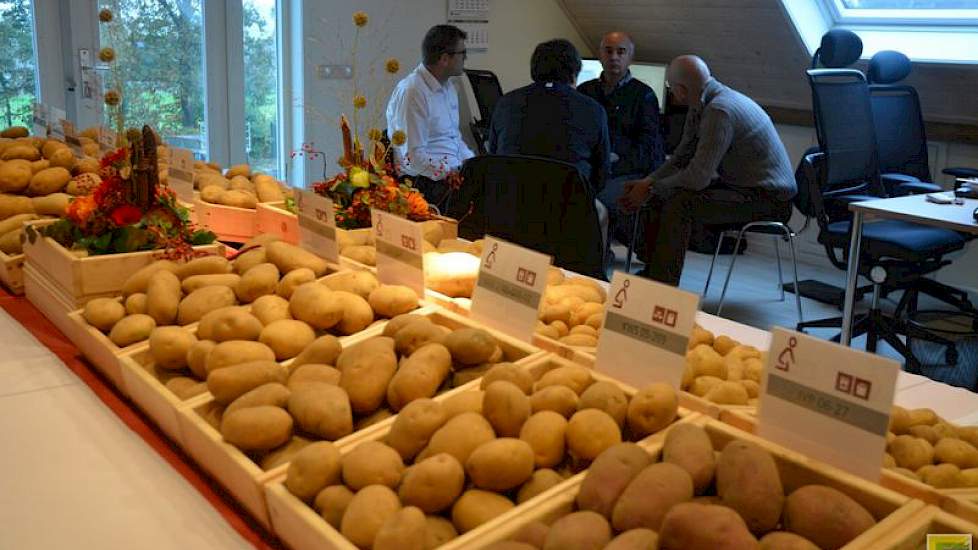 Plantera is een vrij nieuwe speler op de aardappelmarkt. Het bedrijf is in 2014 opgericht en richtte zich toen volledig op de markt voor tafelaardappelen. Nu breidt het uit naar de chips-, frites- en exportmarkt. Het bedrijf heeft veel rassen onder nummer